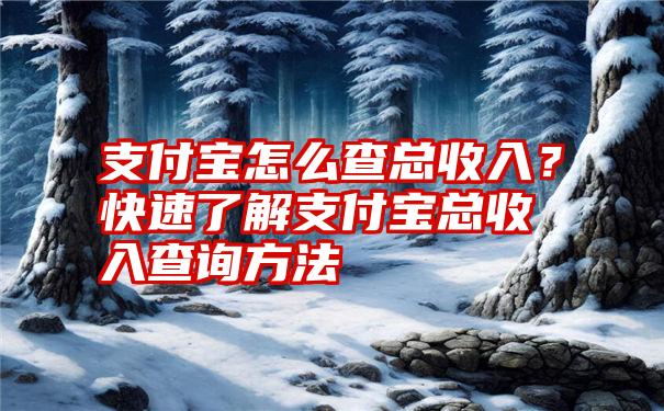 支付宝怎么查总收入？快速了解支付宝总收入查询方法