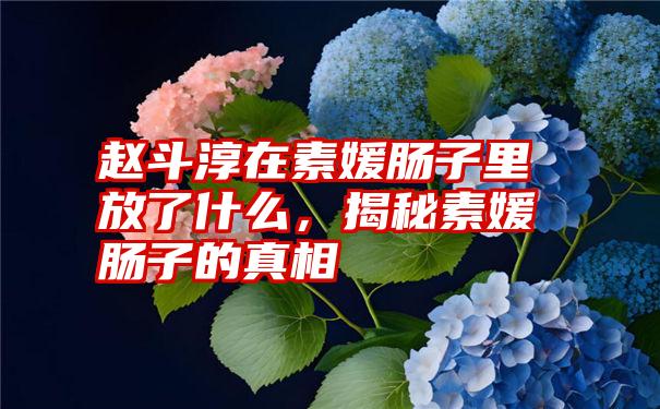 赵斗淳在素媛肠子里放了什么，揭秘素媛肠子的真相