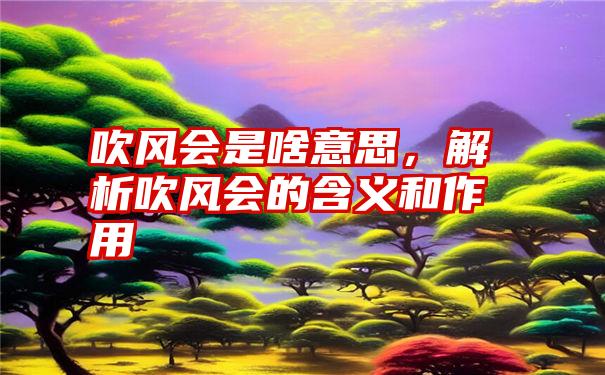 吹风会是啥意思，解析吹风会的含义和作用