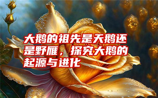 大鹅的祖先是天鹅还是野雁，探究大鹅的起源与进化