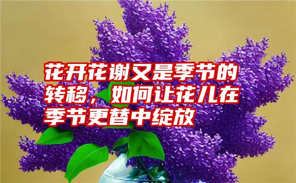 花开花谢又是季节的转移，如何让花儿在季节更替中绽放