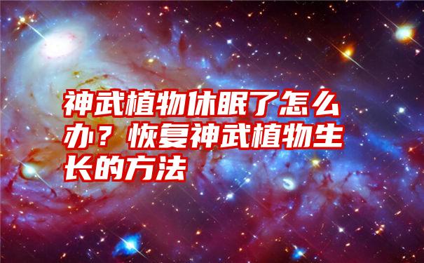 神武植物休眠了怎么办？恢复神武植物生长的方法