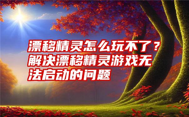 漂移精灵怎么玩不了？解决漂移精灵游戏无法启动的问题