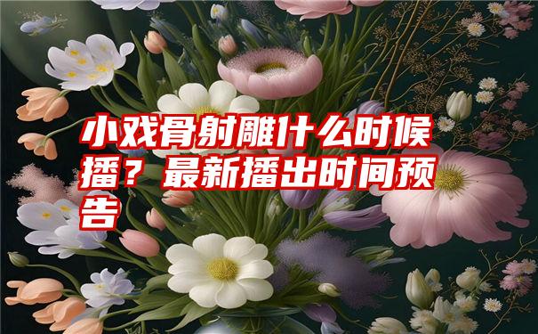 小戏骨射雕什么时候播？最新播出时间预告