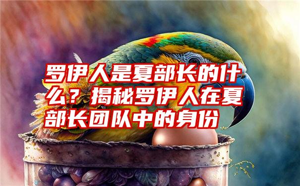 罗伊人是夏部长的什么？揭秘罗伊人在夏部长团队中的身份