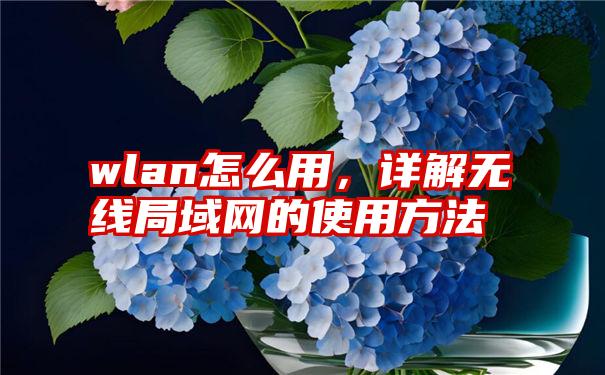 wlan怎么用，详解无线局域网的使用方法