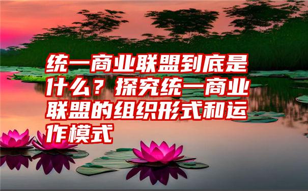 统一商业联盟到底是什么？探究统一商业联盟的组织形式和运作模式