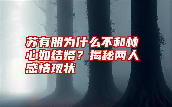 苏有朋为什么不和林心如结婚？揭秘两人感情现状