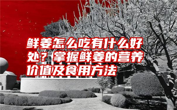 鲜姜怎么吃有什么好处？掌握鲜姜的营养价值及食用方法