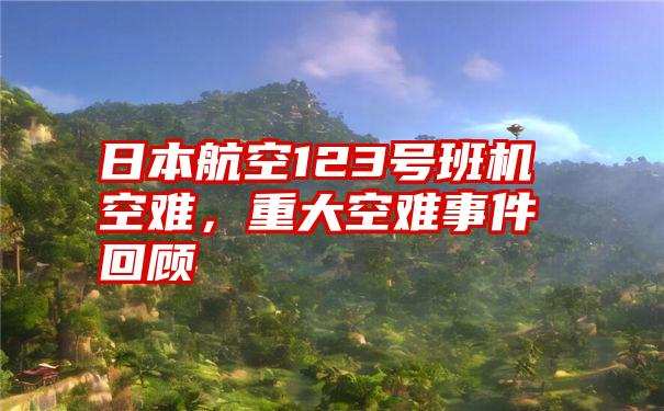 日本航空123号班机空难，重大空难事件回顾