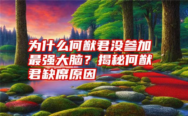 为什么何猷君没参加最强大脑？揭秘何猷君缺席原因