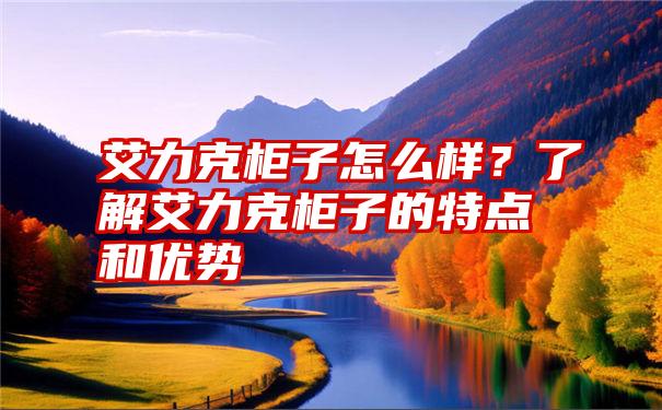 艾力克柜子怎么样？了解艾力克柜子的特点和优势