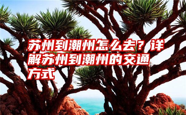 苏州到潮州怎么去？详解苏州到潮州的交通方式