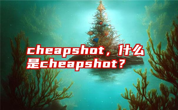 cheapshot，什么是cheapshot？