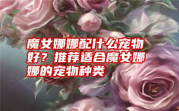 魔女娜娜配什么宠物好？推荐适合魔女娜娜的宠物种类