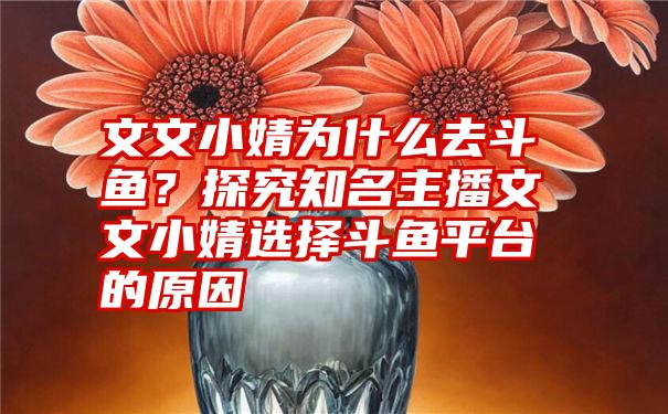 文文小婧为什么去斗鱼？探究知名主播文文小婧选择斗鱼平台的原因