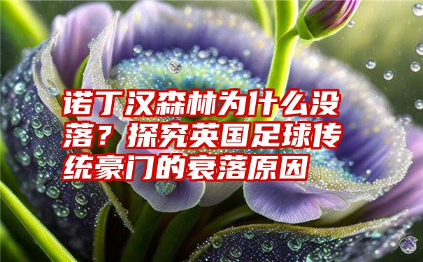 诺丁汉森林为什么没落？探究英国足球传统豪门的衰落原因