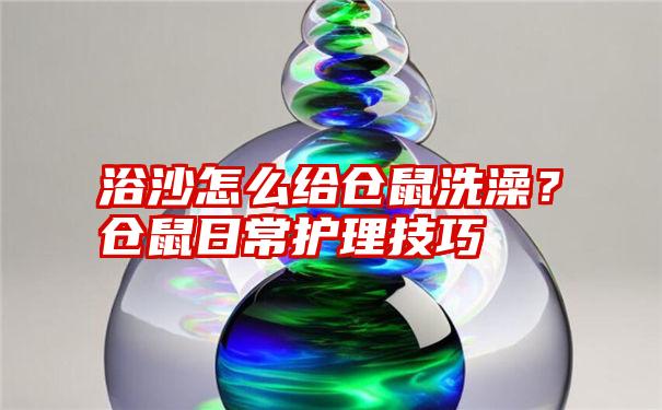 浴沙怎么给仓鼠洗澡？仓鼠日常护理技巧