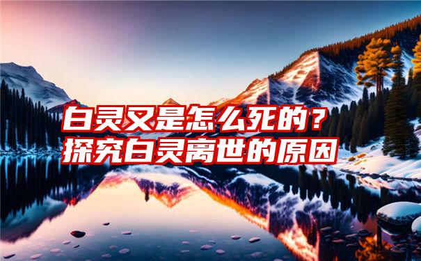 白灵又是怎么死的？探究白灵离世的原因