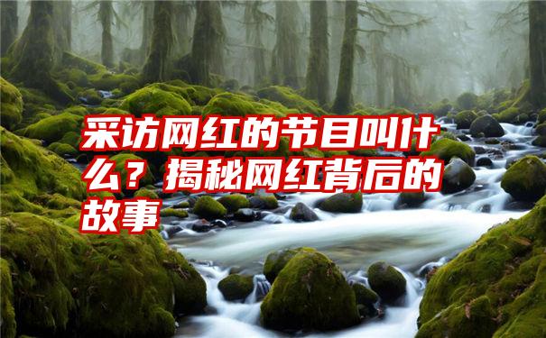 采访网红的节目叫什么？揭秘网红背后的故事