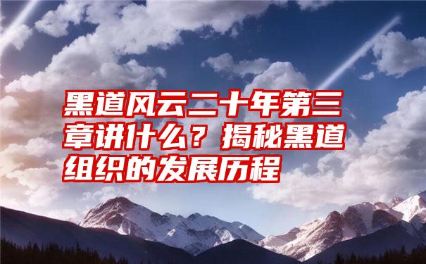 黑道风云二十年第三章讲什么？揭秘黑道组织的发展历程