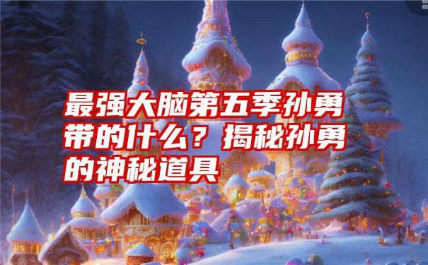 最强大脑第五季孙勇带的什么？揭秘孙勇的神秘道具