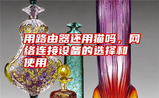 用路由器还用猫吗，网络连接设备的选择和使用