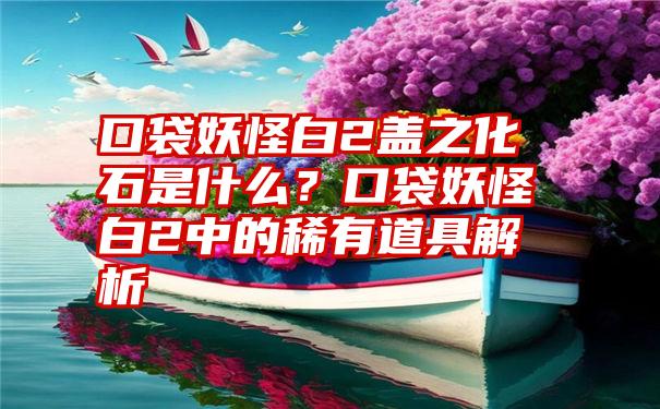 口袋妖怪白2盖之化石是什么？口袋妖怪白2中的稀有道具解析