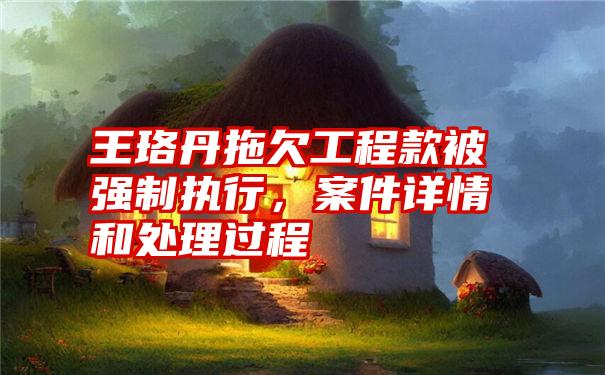 王珞丹拖欠工程款被强制执行，案件详情和处理过程