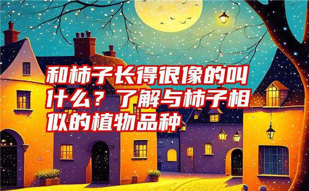 和柿子长得很像的叫什么？了解与柿子相似的植物品种