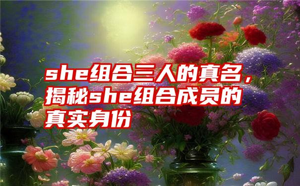 she组合三人的真名，揭秘she组合成员的真实身份