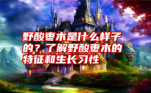 野酸枣木是什么样子的？了解野酸枣木的特征和生长习性