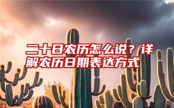 二十日农历怎么说？详解农历日期表达方式