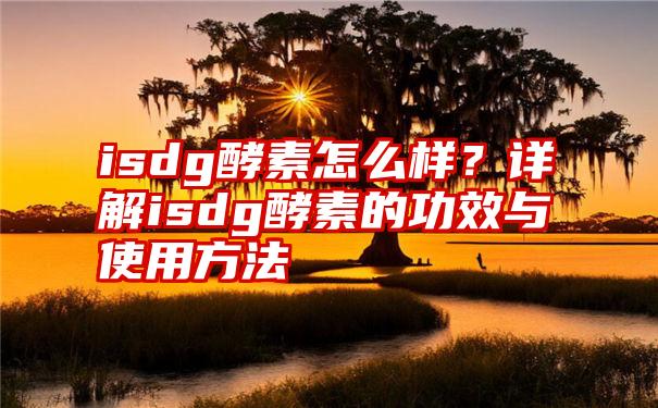 isdg酵素怎么样？详解isdg酵素的功效与使用方法