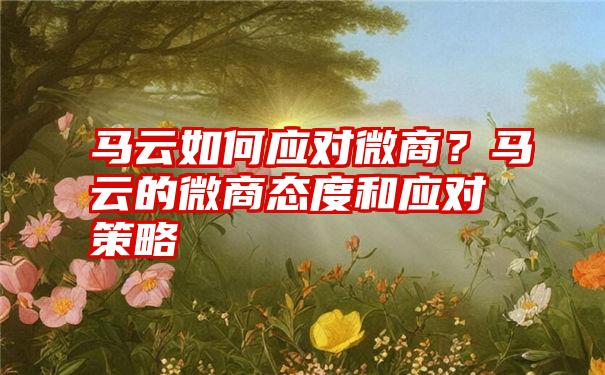 马云如何应对微商？马云的微商态度和应对策略