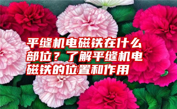 平缝机电磁铁在什么部位？了解平缝机电磁铁的位置和作用