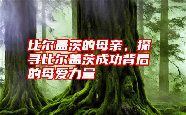 比尔盖茨的母亲，探寻比尔盖茨成功背后的母爱力量