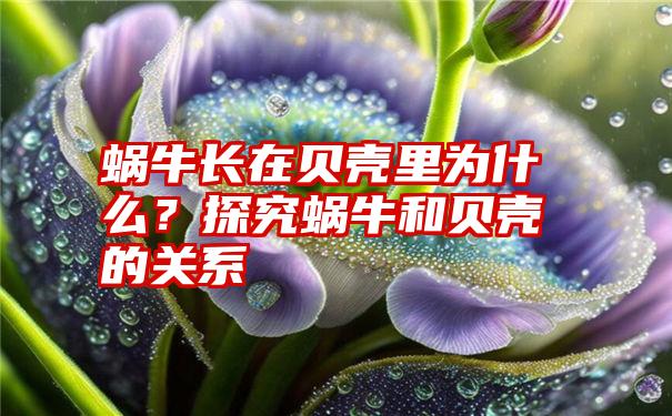 蜗牛长在贝壳里为什么？探究蜗牛和贝壳的关系