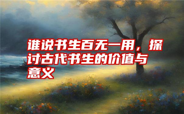 谁说书生百无一用，探讨古代书生的价值与意义