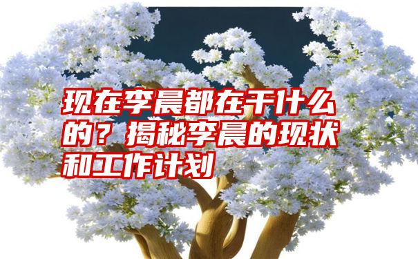 现在李晨都在干什么的？揭秘李晨的现状和工作计划