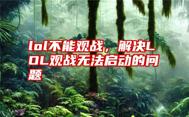 lol不能观战，解决LOL观战无法启动的问题