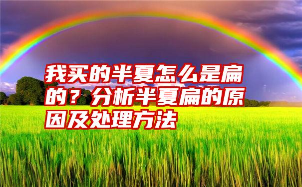 我买的半夏怎么是扁的？分析半夏扁的原因及处理方法