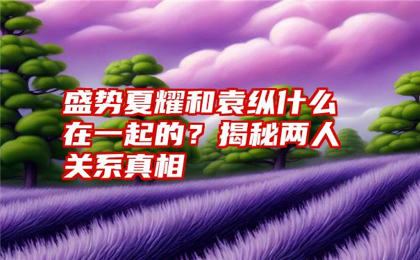 盛势夏耀和袁纵什么在一起的？揭秘两人关系真相