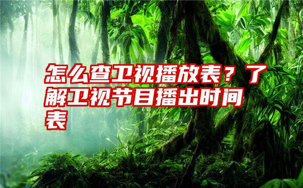 怎么查卫视播放表？了解卫视节目播出时间表