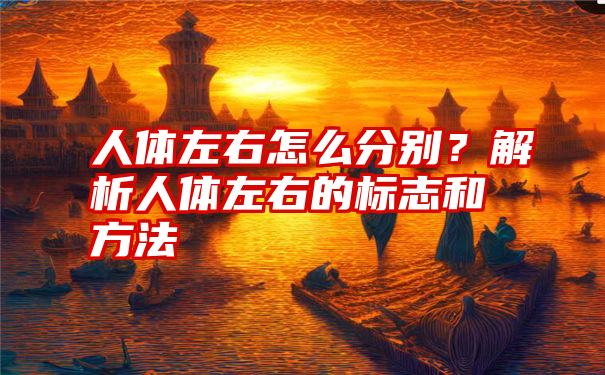 人体左右怎么分别？解析人体左右的标志和方法