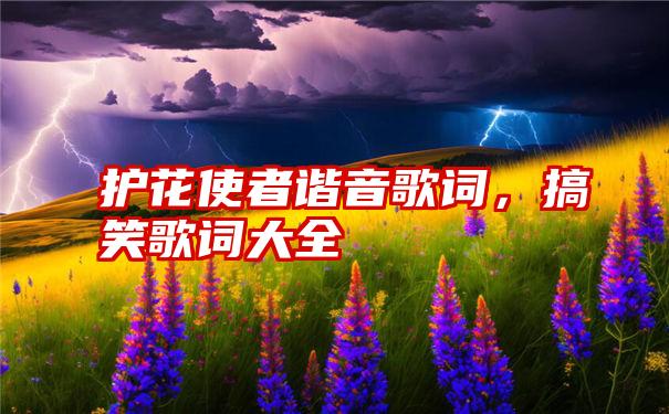 护花使者谐音歌词，搞笑歌词大全