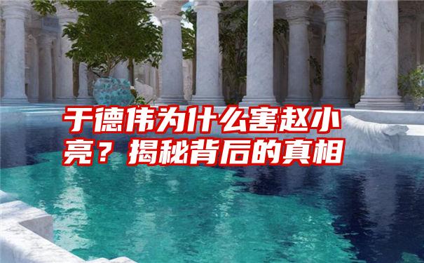 于德伟为什么害赵小亮？揭秘背后的真相