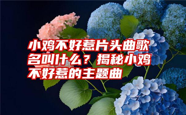 小鸡不好惹片头曲歌名叫什么？揭秘小鸡不好惹的主题曲