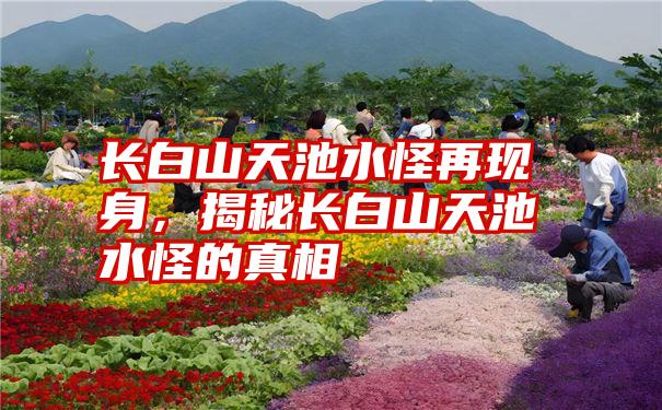 长白山天池水怪再现身，揭秘长白山天池水怪的真相