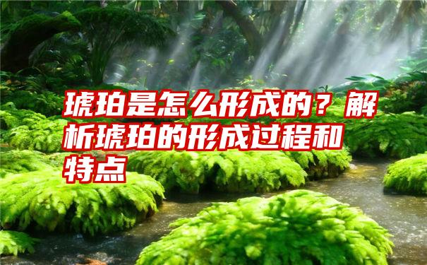 琥珀是怎么形成的？解析琥珀的形成过程和特点